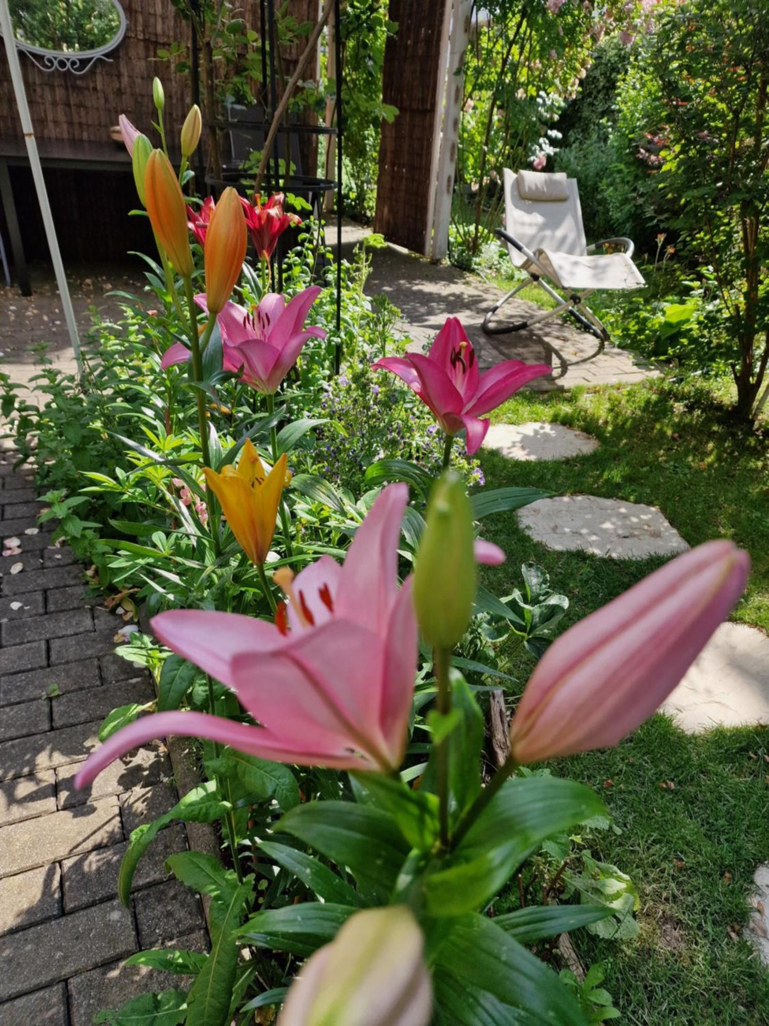 Ferienwohnung Domschatz Naumburg  Kültér fotó